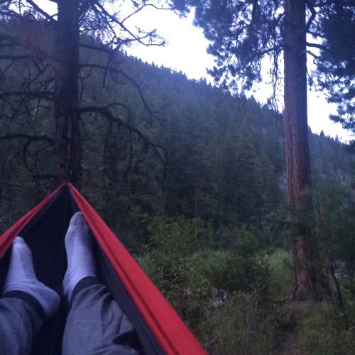 Hanging in the trees is where I like to be #Montana #hammocklife