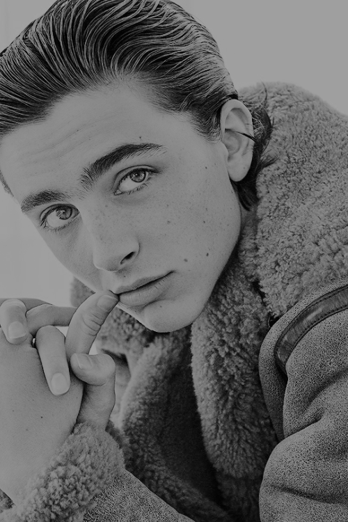 aliciiavikander:Timothée Chalamet for British GQ