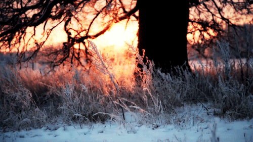 fire in the sky | ice on the ground 