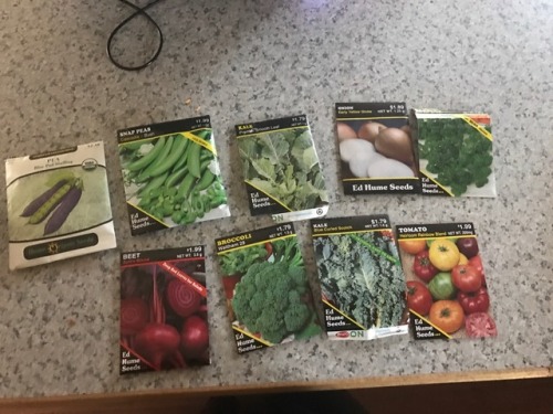 radicalgardener: the seed collection for this growing season!! the last of the snow is melting outsi