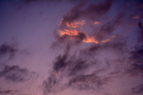 love-abia:  Frisson by Abi Ashra (Tumblr)