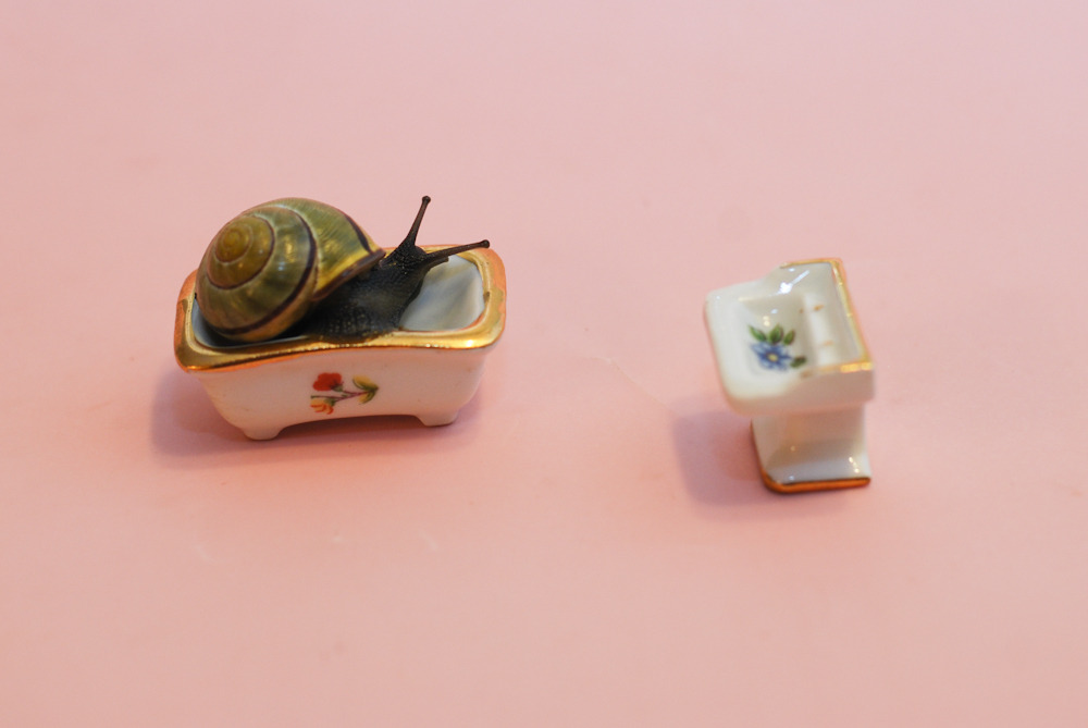 oliverthesnail:  Rub-a-dub-dub, a snail in the tub! 