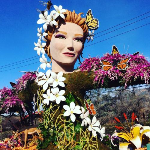 Woke up early to go check out the Rose Parade floats! (at Rose Parade Float Viewing)
