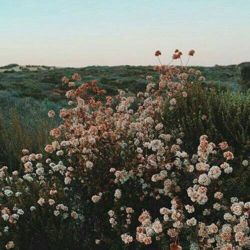 angstyindie:Found Here
