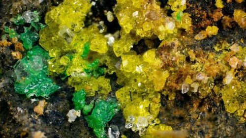The most complex mineralThis pretty little yellow mineral has just been named Ewingite, after Stanfo
