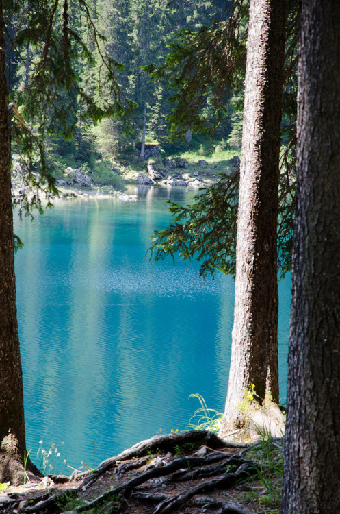 Porn photo metrodorus:  Lago di Carezza 