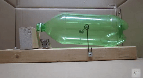 glumshoe:  kamj2003:   purebushcraft:   the-future-now:  Watch: This DIY humane mouse trap is pretty brilliant  Follow @the-future-now   Brilliant trap idea. Time to adapt it for primitive use. ¥   Okay, but, let’s say you forget about it, mouse get’s