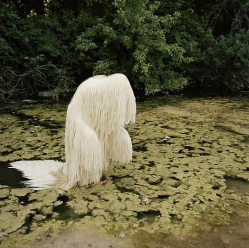 prospitianescapee:nicetrails:This Lion’s Mane mushroom growing in a swamp This is a sculpture by Sus