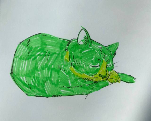 a pen and marker drawing of a cat. the cat is sleeping, with its tail tucked to its face, and colored green. 