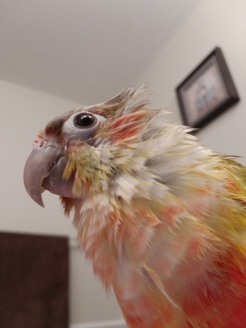 i-dont-feel-i-see - My handsome baby boys after our shower...