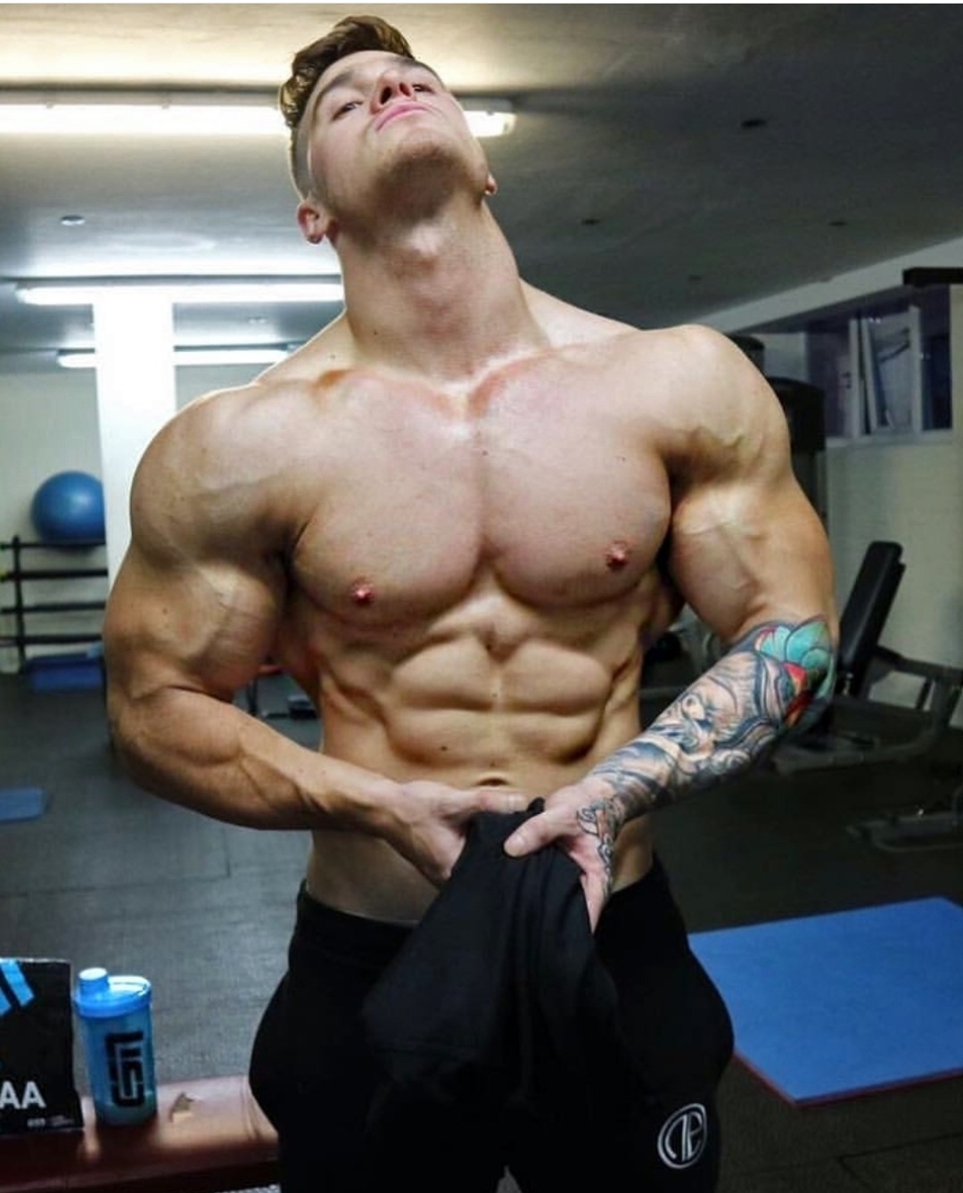 dafyddbach: Some recent progress shots of everyones favourite body building twins.