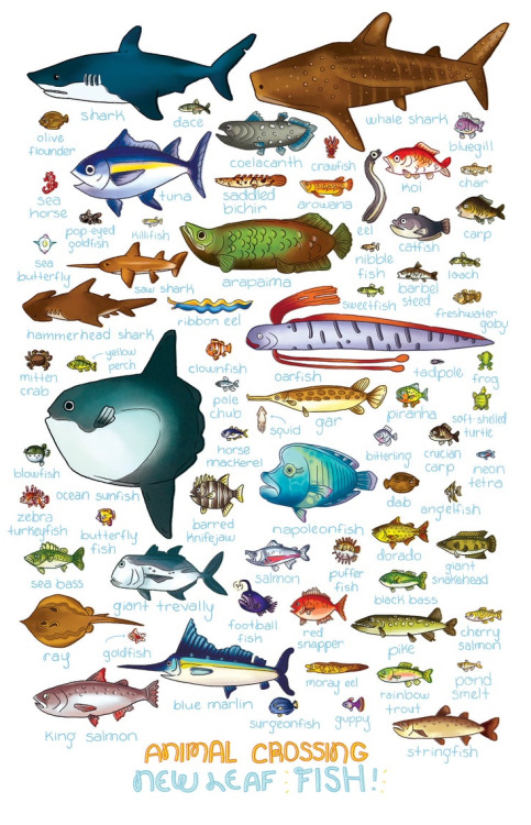 Animal Crossing Bug and Fish Posters made by Ashley Caswell