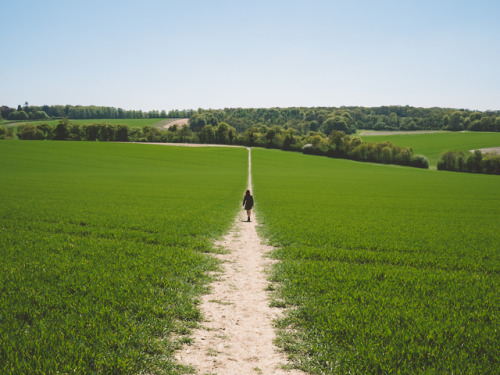 Ridgeway National Trail, Oxfordshire, England