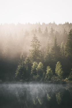 banshy:  Harz, Germany // Max Fischer  