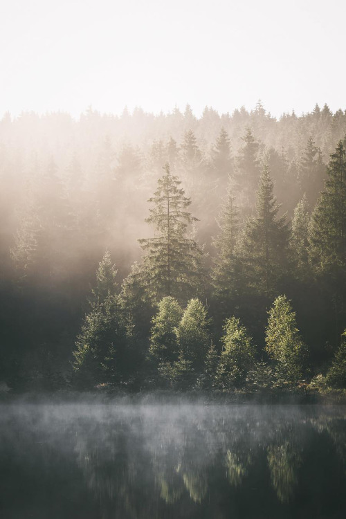 Porn banshy:  Harz, Germany // Max Fischer   photos