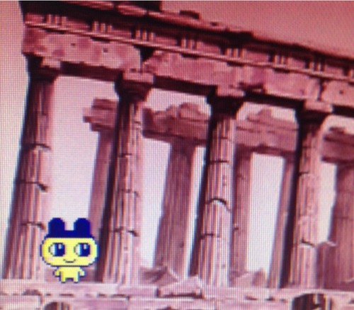 tamapalace:where in the world is Mametchi?