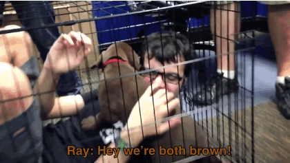 captainmarvol-blog:  Ray being a god damned cutie [x] 