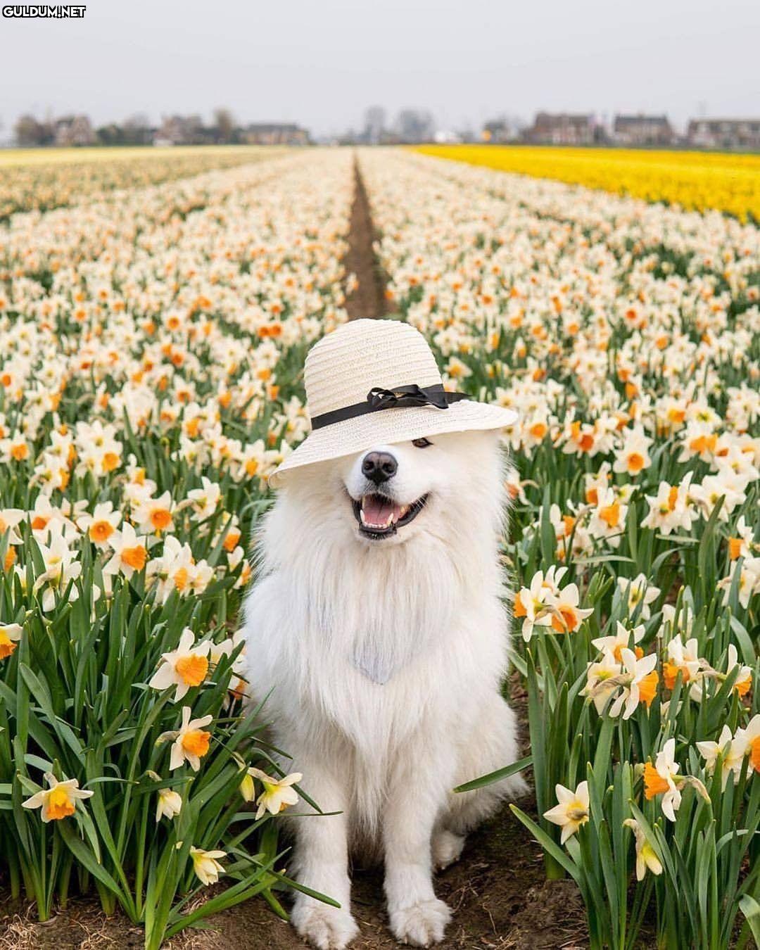 Günaydın 👒