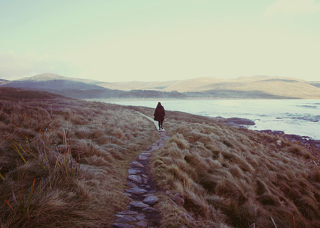 chelsearoseg:  eartheld:  eartheld:  mostly nature  mostly nature  xx