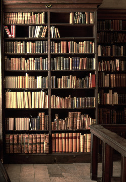 a-few-good-books: bookshelves at St. Paul’s