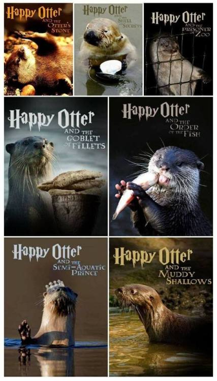 pizzaotter:  halpando:  @pizzaotter  Tag yourself I’m semi-aquatic Prince.  I’m The Shell of Secrets