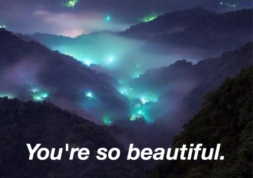raenuet:  Thoughts ~ #256