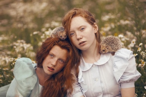 f-l-e-u-r-d-e-l-y-s:  . Katerina Plotnikova  on Tumblr Katerina Plotnikova is a fine art photographer from Russia who explains her work as “another tale about wonderland.” Her images are simple, yet stunning. Welcome to the magical land of Katerina.