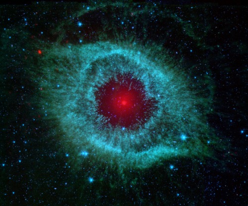 cigarettesandramen:  just—space:  This infrared image from NASAs Spitzer Space Telescope shows the Helix Nebula, a cosmic starlet often photographed by amateur astronomers for its vivid colors and eerie resemblance to a giant eye. 