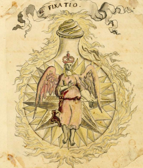 magictransistor:  Manly P. Hall. Collection of Alchemical Manuscripts. Box No. 4. 1600.