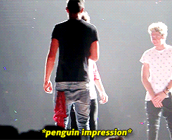  animal impressions 21/10/13 x 