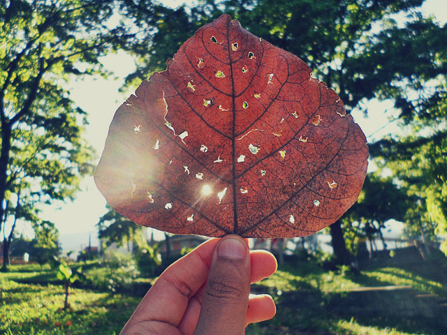 621sb:  Tardes llenas de matices on Flickr.