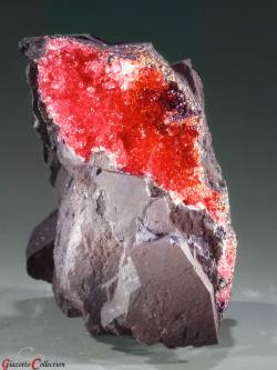 libutron:  Rhodochrosite | ©Gazotto Mineral Collection Hotazel Mine, Kalahari Manganese Fields, Northern Cape Province, South Africa. 140x100 mm. 