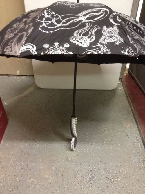 alexicalgap: brain-confetti: Hmm. Do I need a $35 umbrella? No. But, yes. O.o