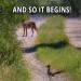 d-r-a-g-o-n-x:thegreatnpowerful:thebeastinsidemewon-deactivated:😄😍looool beep beep…