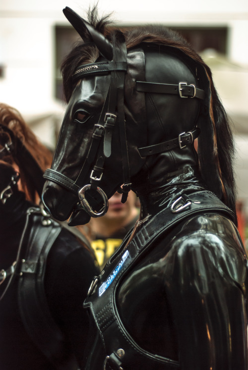manuelmoncayo-diary:  Folsom, 13.Sep.2014 I took pictures for the Folsom webpage. The guys on the festival look like Tom of Finland illustrations. 