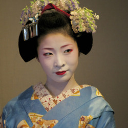 okiya:  Maiko Miena, Miyagawacho Maiko-san (by J Bosley) 