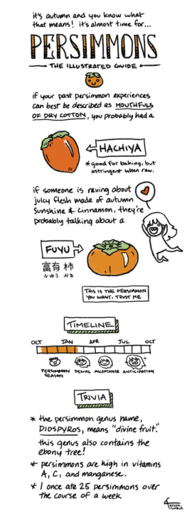 no one should be surprised at this point. I’m going to be in Japan during persimmon season and
