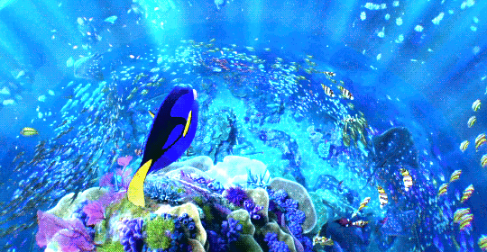 credencesbarebone:  just keep swimming, just keep swimming…