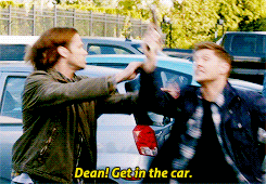 letangs:  SPN 10 countdown challenge | day 19 - episode 5 ↳ 9x05 - dog dean afternoon