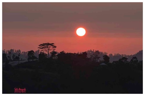 &ldquo;Silhoutte of sun rising&rdquo; #sunrisephotography  #silhouettephotography  #fujifilm