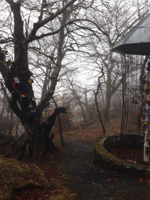  Abandoned Wizard of Oz theme park, January porn pictures