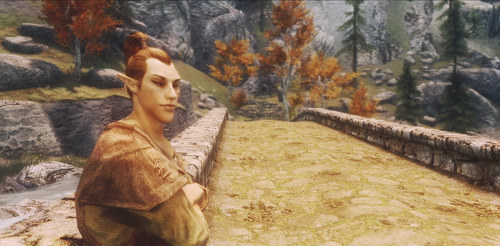 pxelbunny: Skyrim settlements + Ivarstead