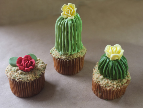 thecupcakemaniac: Cacti Cupcakes