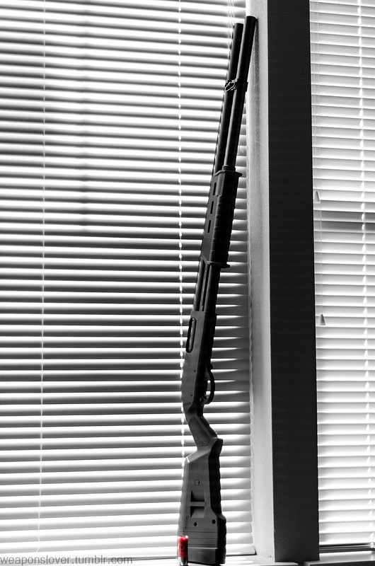 Weapons Lover