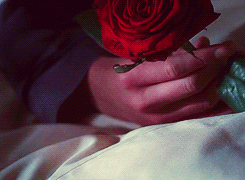           infinite list of favorite movies - V for Vendetta      “Remember, rememberThe