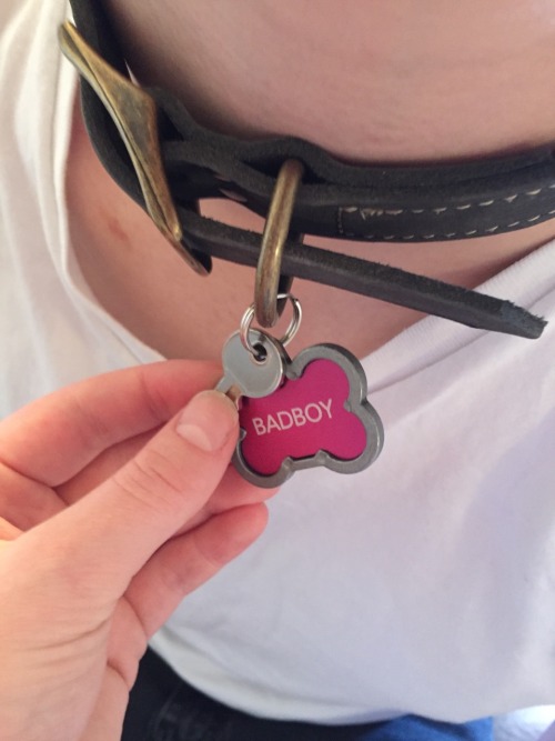 ryanindrag: Ryan’s collar to remind him where he belongs