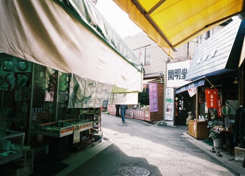 kunihito-miki:| FUJI COLOR 100 | instagram |  Kunihito Miki Photography |