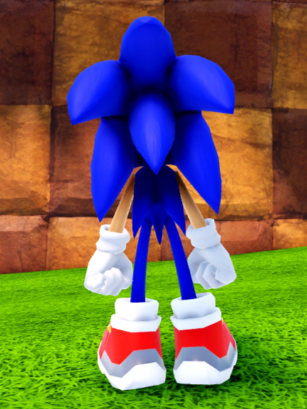 Riders Sonic, Sonic Speed Simulator