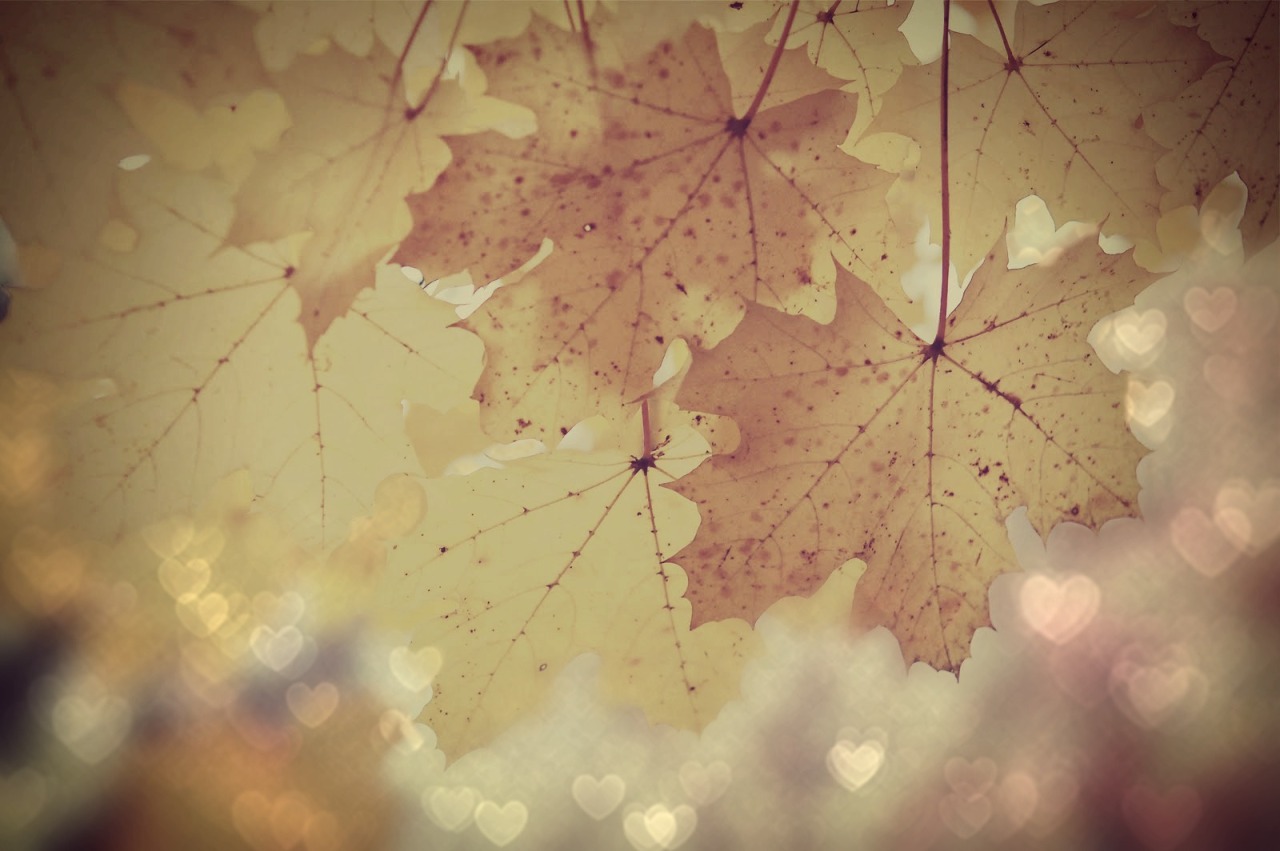 Ljubavne slike jeseni