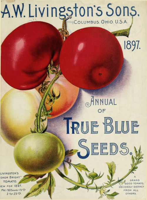 True Blue Seeds for a grand good tomato, 1897. Columbus, Ohio. Via Biodiversity Library.